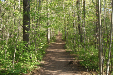 HIKING TRAILS